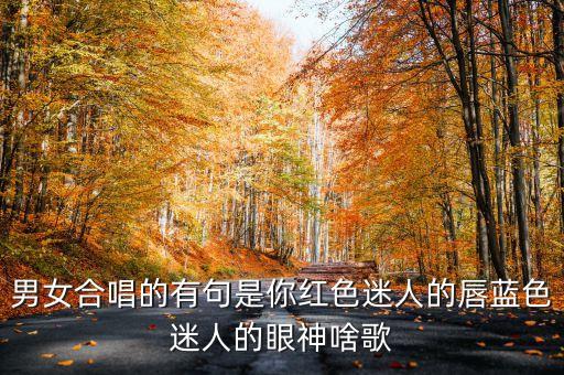 有句美丽眼神是什么dj歌曲，有首歌有一句是 你的眼神充满美丽 带走我的心跳 请问是什么歌 很好听