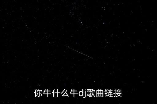 莉莉广场舞你牛什么牛，你牛什么牛mp3