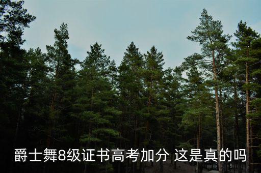 舞蹈八级有什么用，舞蹈证书可以加分吗