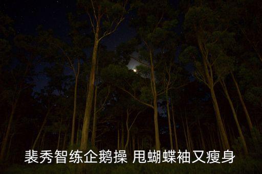 裴秀智练企鹅操 甩蝴蝶袖又瘦身