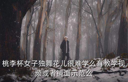 桃李杯女子独舞花儿很难学么有教学视频或者镜面示范么