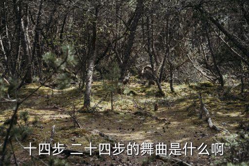 十四步 二十四步的舞曲是什么啊