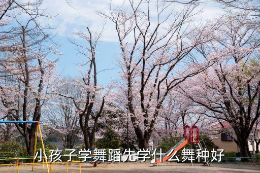 小孩子学舞蹈先学什么舞种好