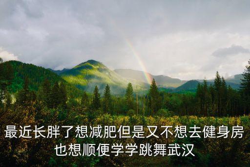 最近长胖了想减肥但是又不想去健身房也想顺便学学跳舞武汉