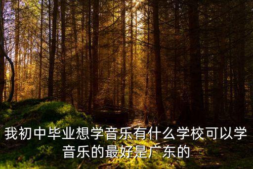 初中毕业想学音乐去哪个学校广东，初中可以考广州的星海音乐学院吗需要做什么我是学吉他的可以不百