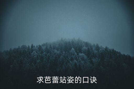 求芭蕾站姿的口诀