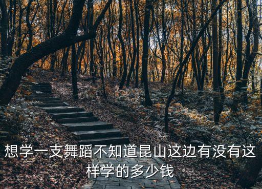 舞蹈培训班大概多少钱昆山，如果学两个月估计要交多少学费