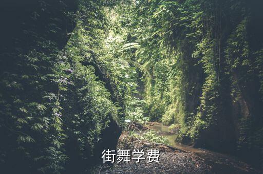 中国舞协街舞考级费用多少，街舞学费