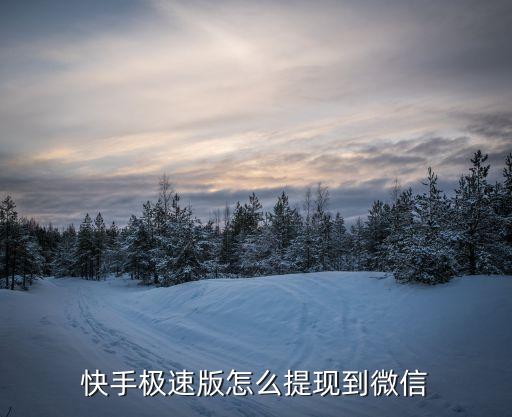 下载快手极速版赚现金，快手极速版怎么提现到微信