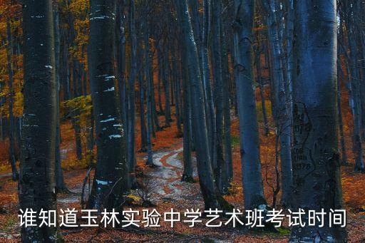 初中舞蹈考试都考什么时候，谁知道玉林实验中学艺术班考试时间