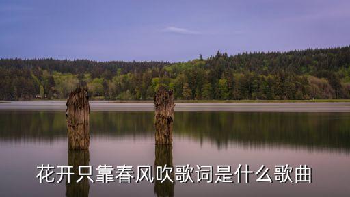 花开只靠春风吹歌词是什么歌曲