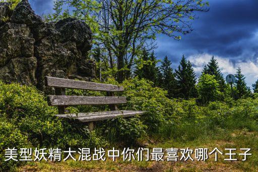 美型妖精大混战中你们最喜欢哪个王子
