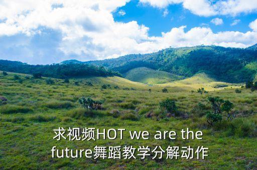 求视频HOT we are the future舞蹈教学分解动作
