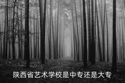 陕西省艺术学校是中专还是大专