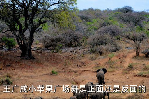 小苹果少儿广场舞，广场舞小苹果怎样学最快