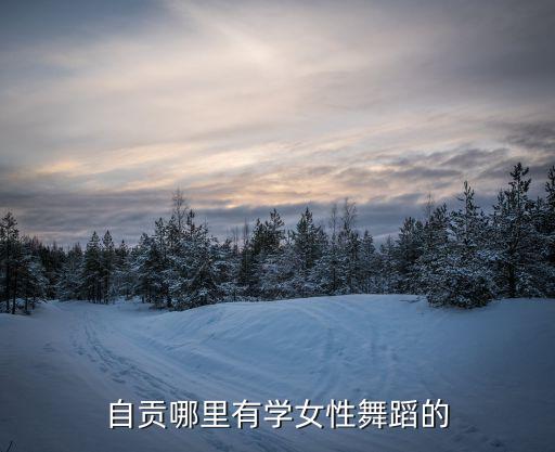 自贡哪里有学女性舞蹈的