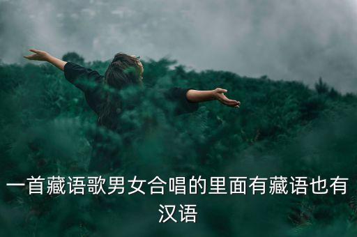 我们好好爱开始怎么唱，一首藏语歌男女合唱的里面有藏语也有汉语
