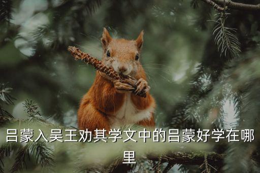 吕蒙入吴王劝其学文中的吕蒙好学在哪里