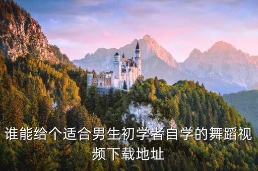 舞蹈种类大全下载，谁能给个适合男生初学者自学的舞蹈视频下载地址