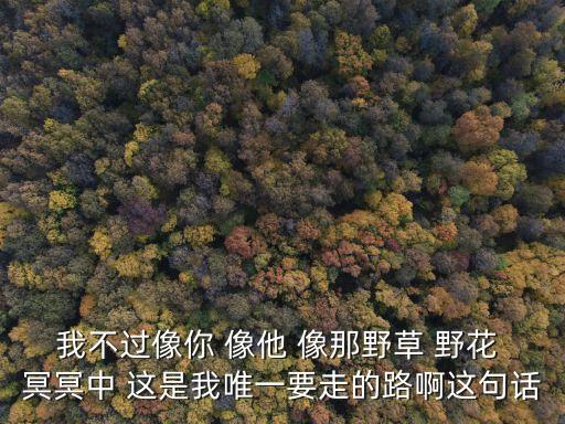 我不过像你 像他 像那野草 野花 冥冥中 这是我唯一要走的路啊这句话