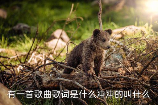 有一首歌曲歌词是什么冲冲的叫什么