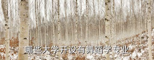 哪些学校有舞蹈专业，舞蹈表演专业选择哪个学校好