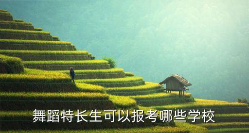 哪些大学收舞蹈生，有哪些高校收舞蹈生