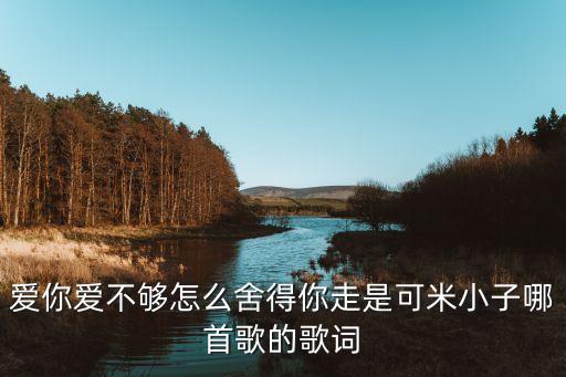 爱你爱不够怎么舍得你走是可米小子哪首歌的歌词