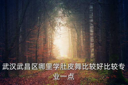 武汉武昌区哪里学肚皮舞比较好比较专业一点