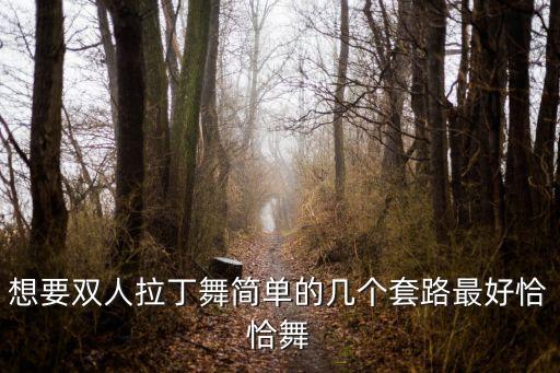 想要双人拉丁舞简单的几个套路最好恰恰舞