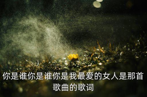 你是谁你是谁你是我最爱的女人是那首歌曲的歌词