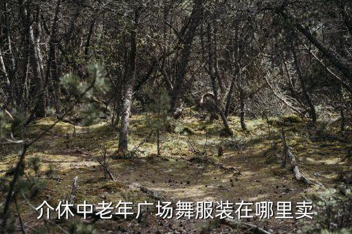 介休中老年广场舞服装在哪里卖