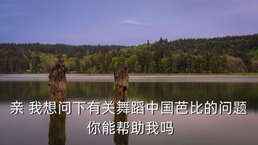 舞蹈中国芭比主要表现什么，舞蹈的背景音乐出处