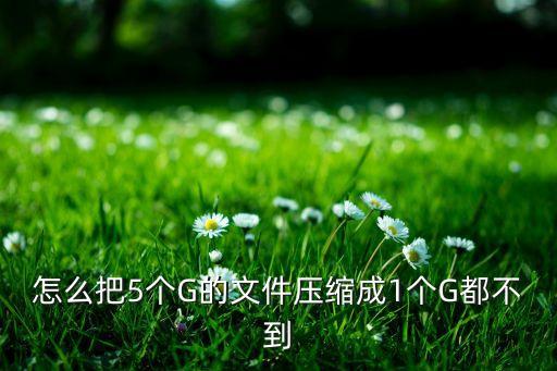 怎么把5个G的文件压缩成1个G都不到