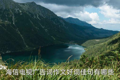 海信电视广告词作文好词佳句有哪些