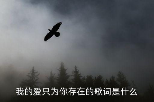 我的爱只为你存在的歌词是什么