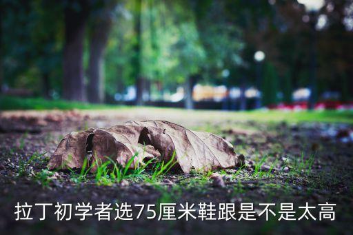 拉丁初学者选75厘米鞋跟是不是太高