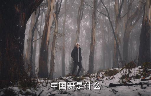 中国舞是什么