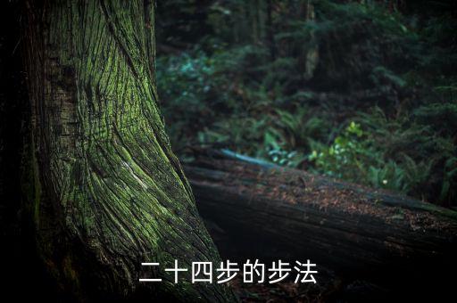 二十四步的步法