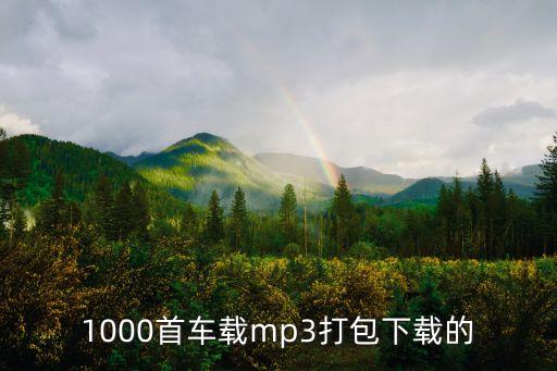 车载音乐歌曲大全免费下载，车载音乐打包下载开车必备100首歌曲