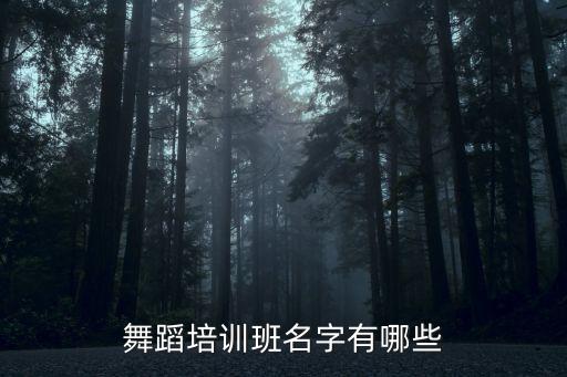 舞蹈艺术培训学校名称，急求舞蹈培训学校起名