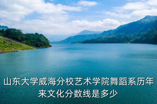舞蹈专业340分，09年川音的舞蹈系录取分数是好多 女生340以上可以被录取吗