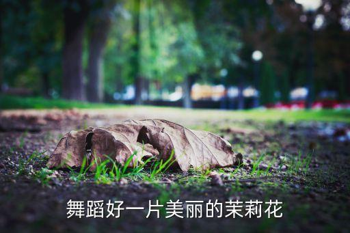 舞蹈好一片美丽的茉莉花