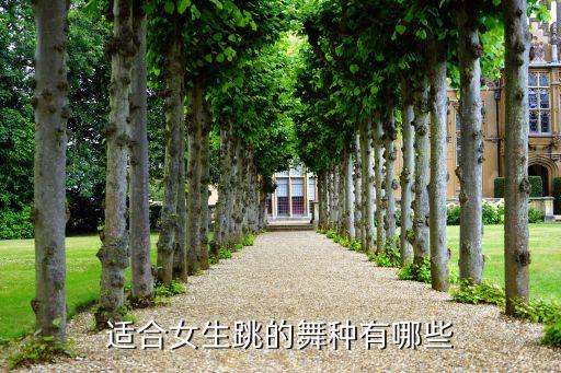 芭蕾舞有哪些舞种，芭蕾舞蹈的类型