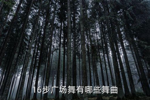 16步广场舞有哪些舞曲