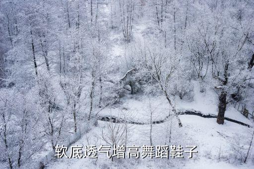 软底透气增高舞蹈鞋子