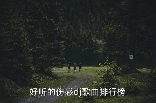 好听的伤感dj歌曲排行榜