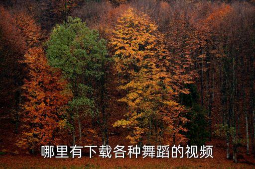 有没有幸福什么的舞蹈视频下载，有没有好玩的跳舞游戏下载又快的舞型舞秀好像下载很快