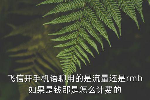 飞信开手机语聊用的是流量还是rmb如果是钱那是怎么计费的
