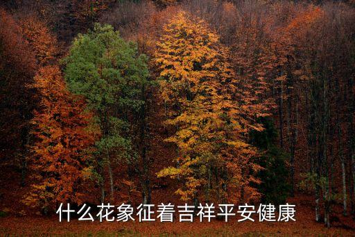 什么花花语是安康，有谁知道什么花的花语是平安健康的